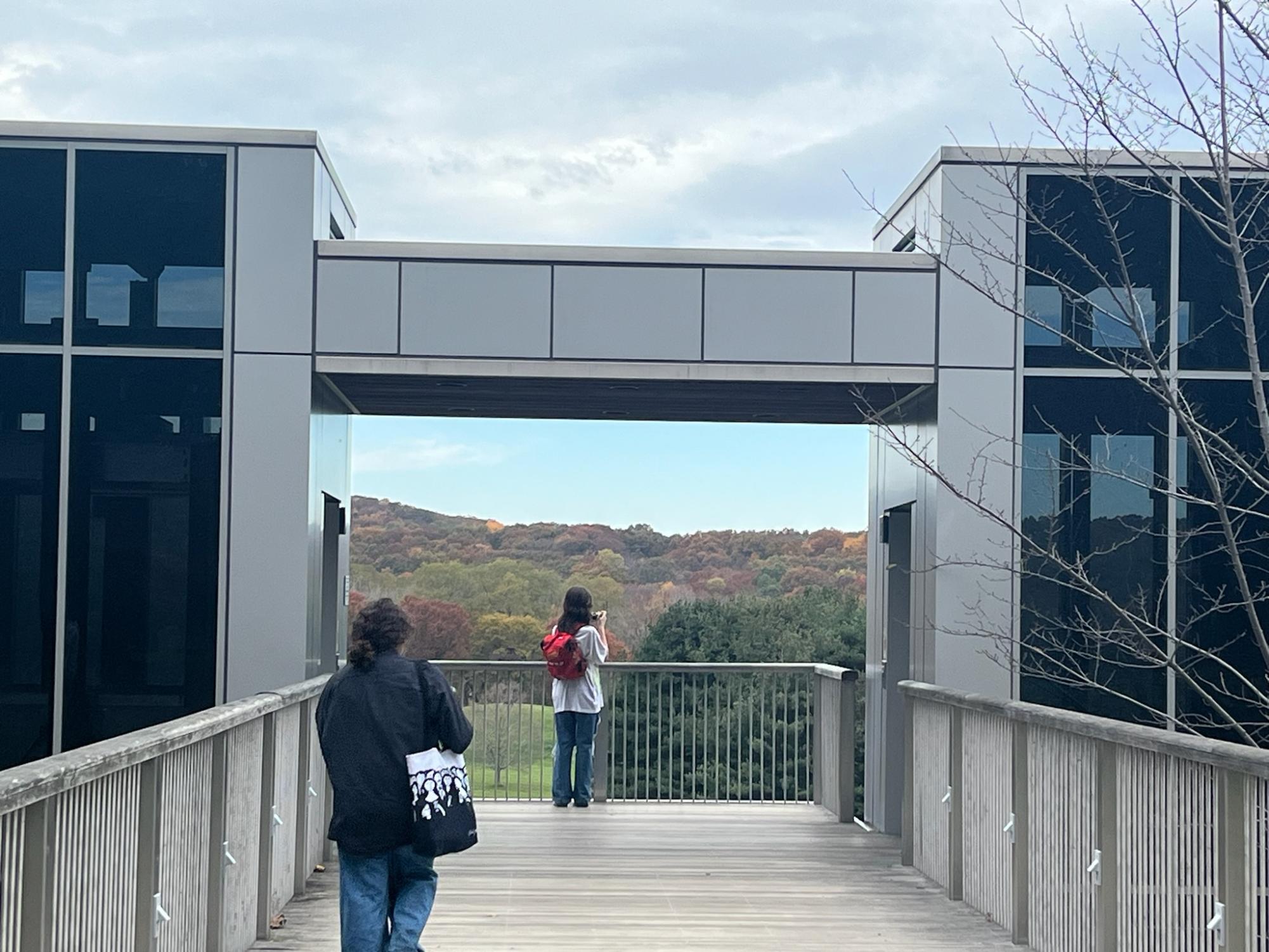 Art Students Visit New York at Storm King