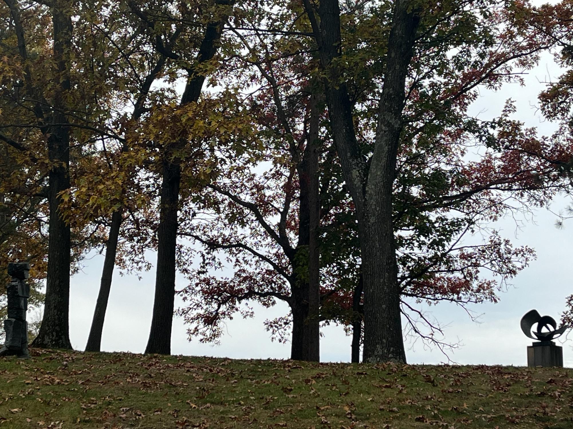 Art Students Visit New York at Storm King