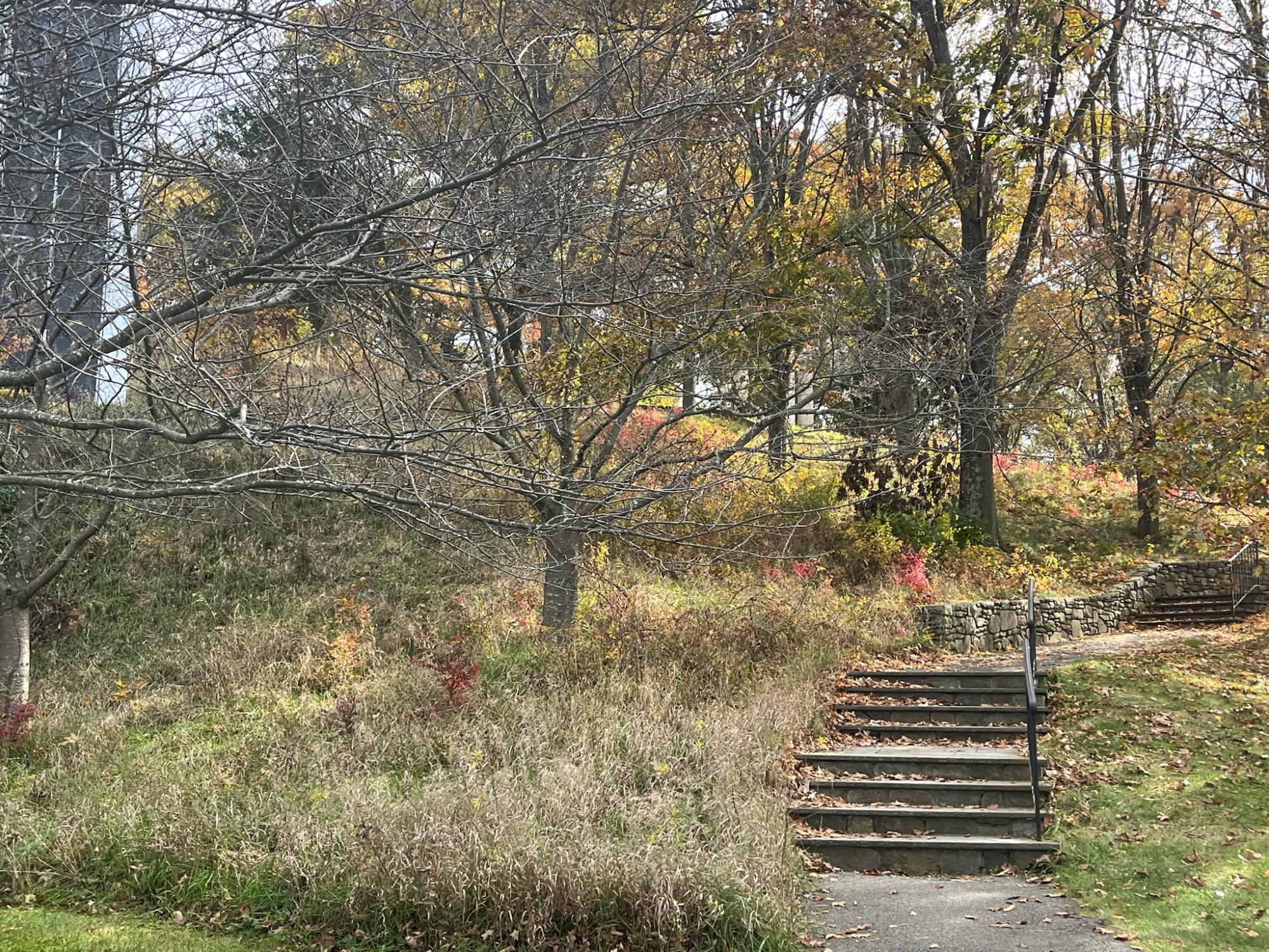 Art Students Visit New York at Storm King