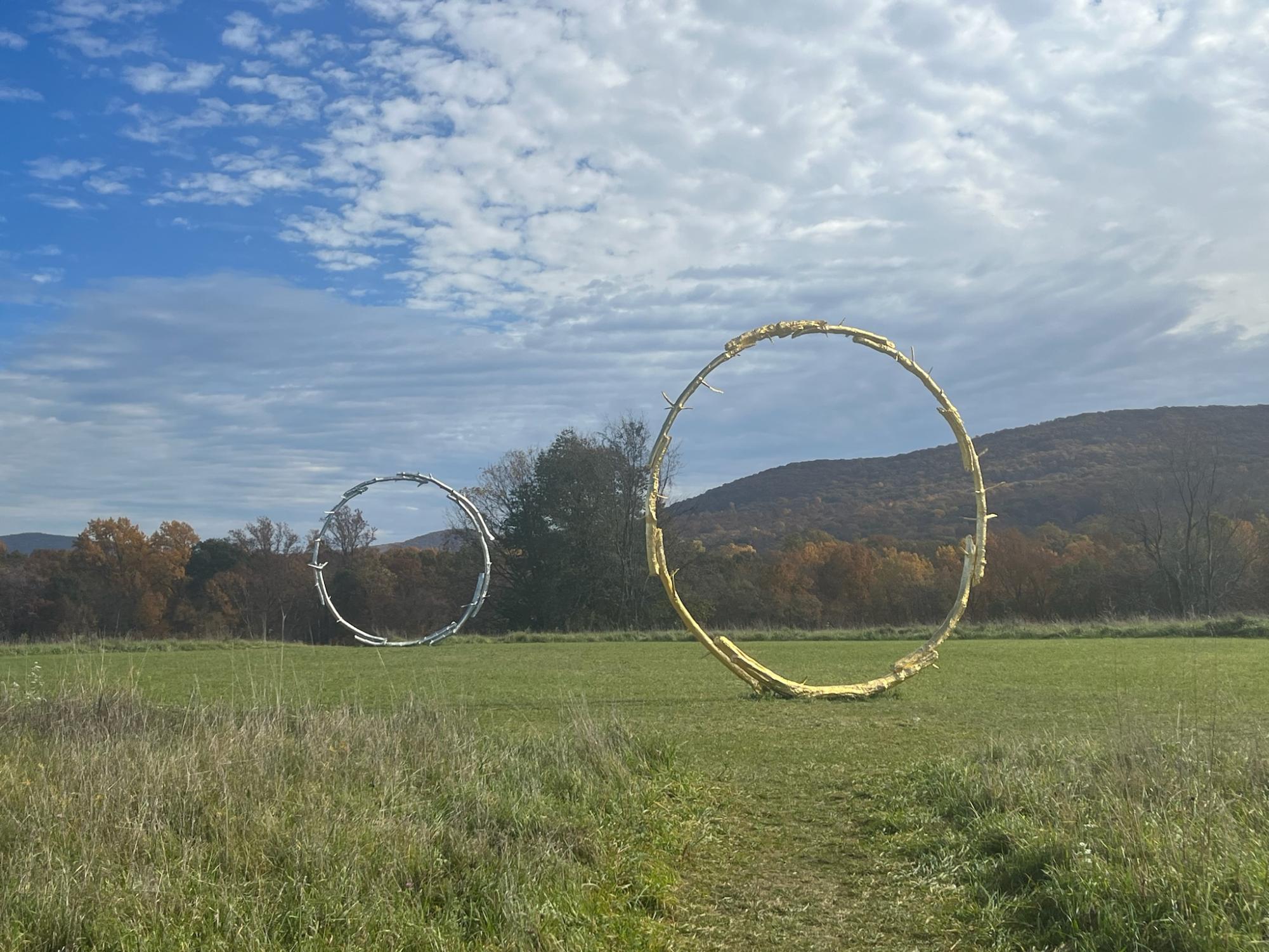 Art Students Visit New York at Storm King