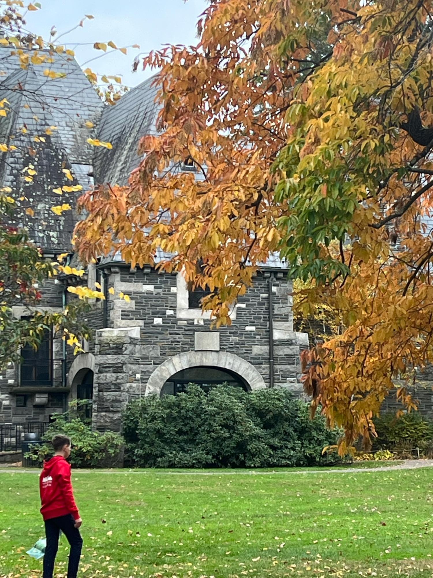 Art Students Visit New York at Storm King