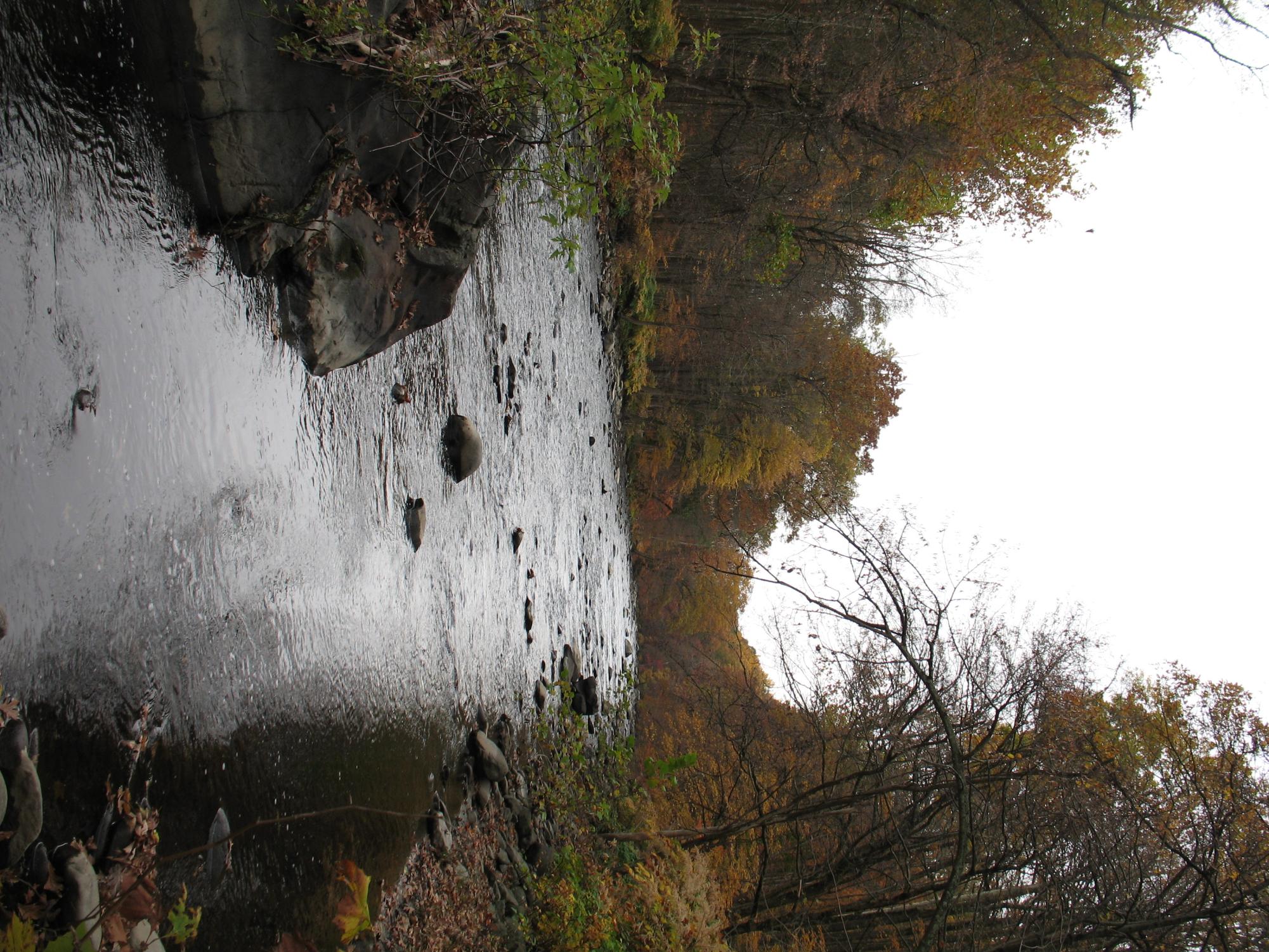 Art Students Visit New York at Storm King