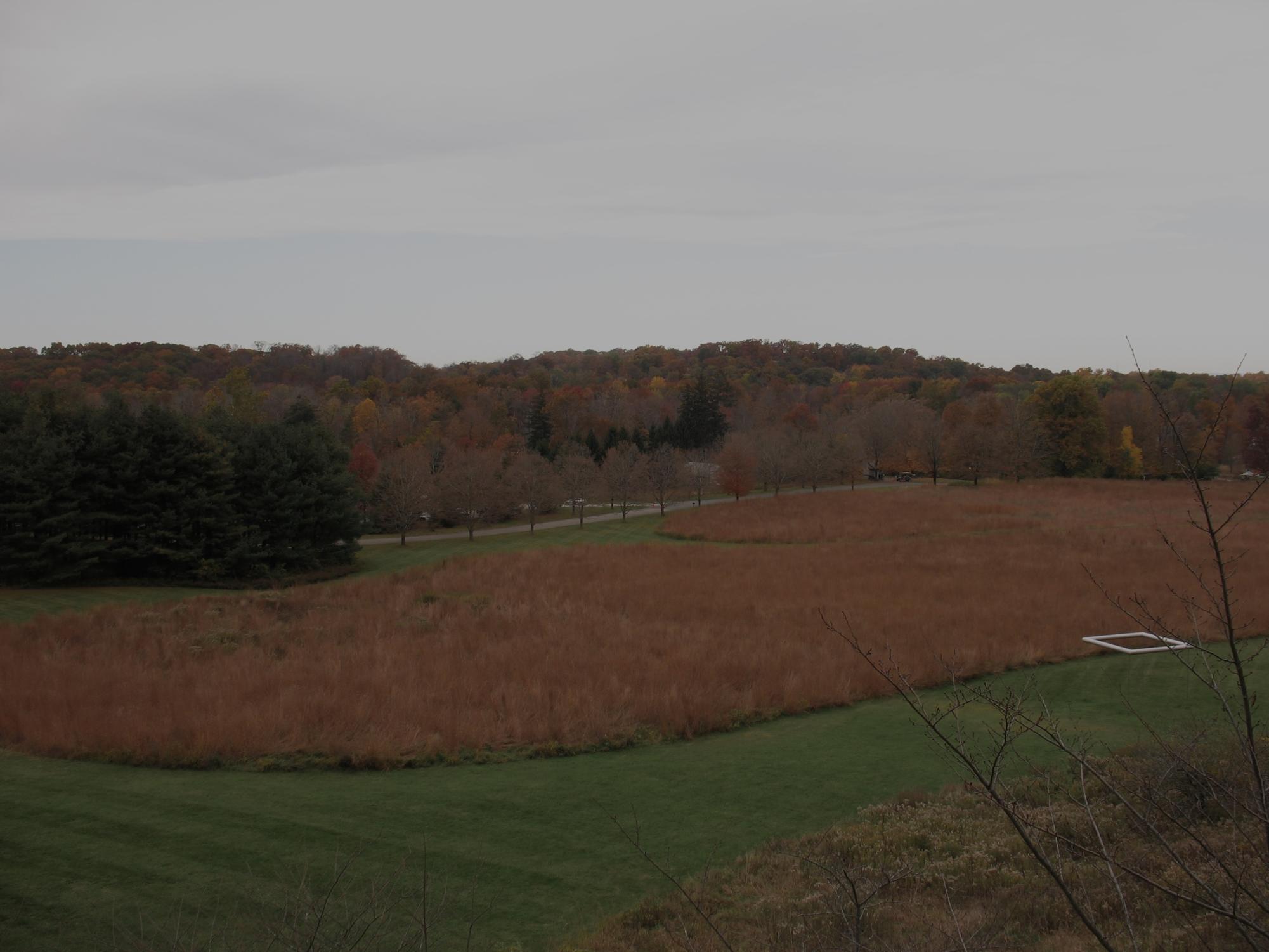 Art Students Visit New York at Storm King