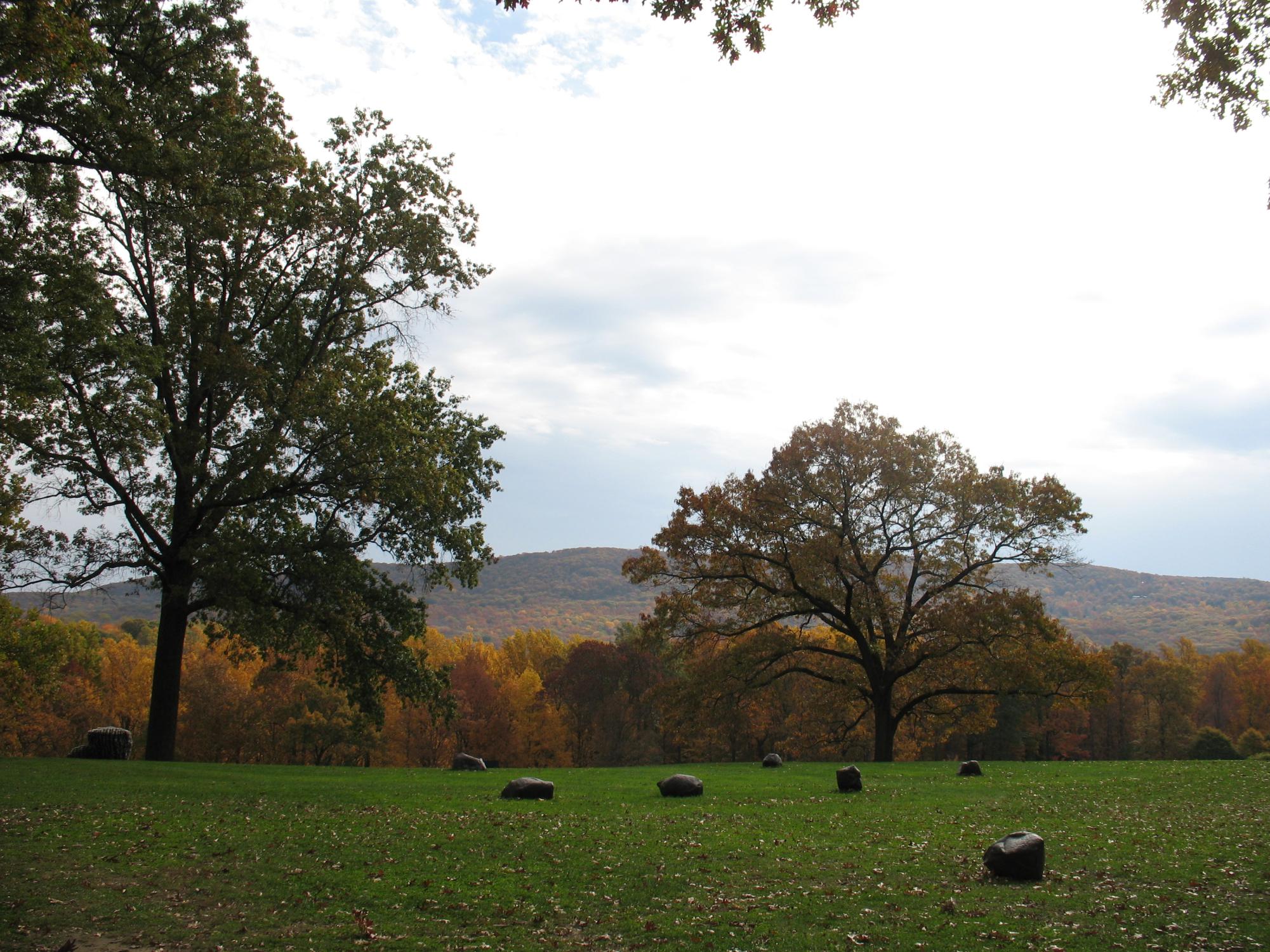 Art Students Visit New York at Storm King