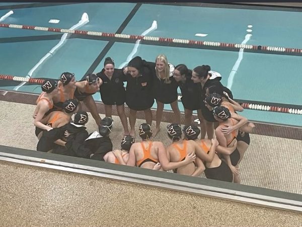 Overview of States: Girls Swim and Dive