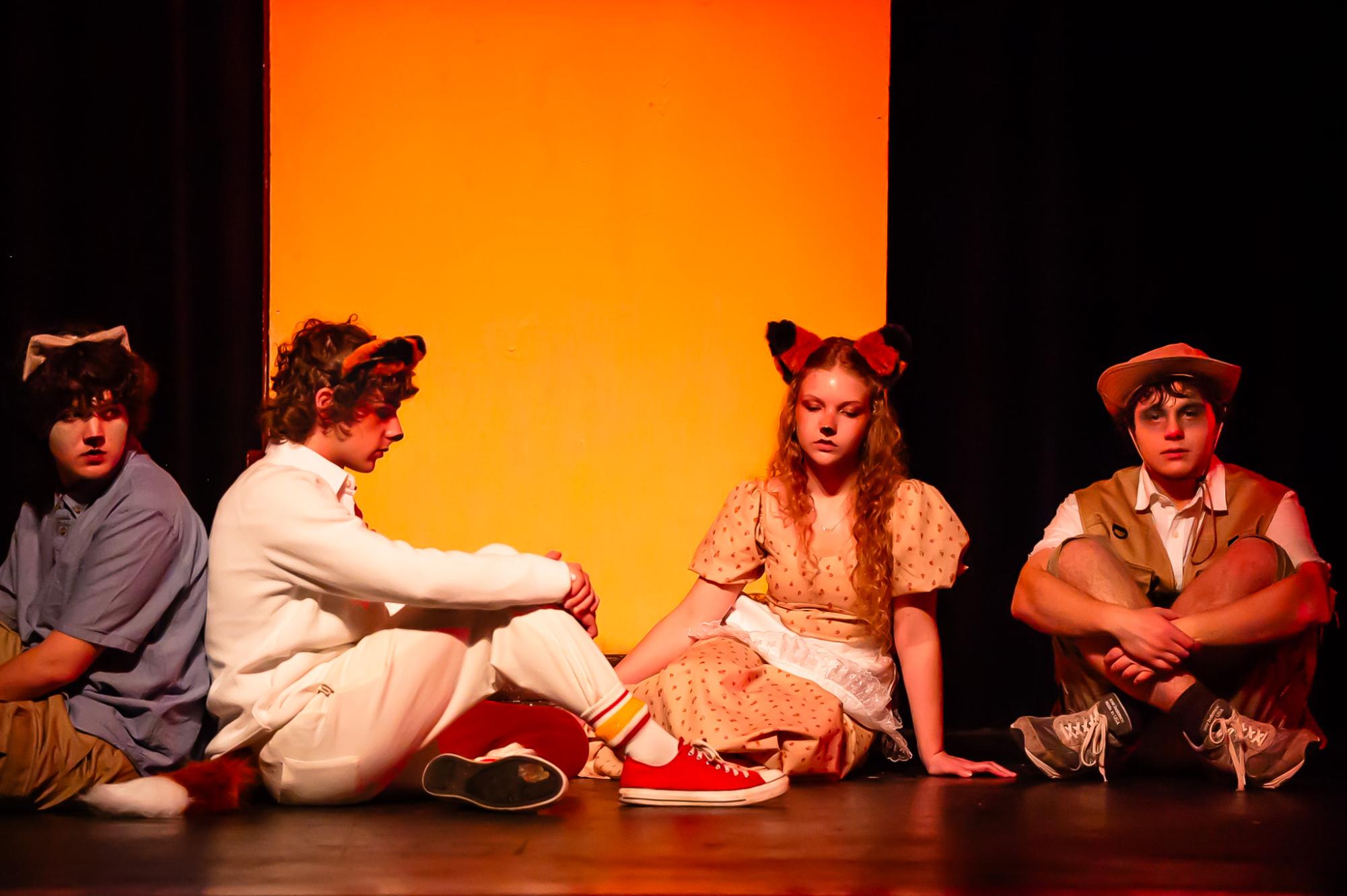 Fantastic Mr. Fox Play Review